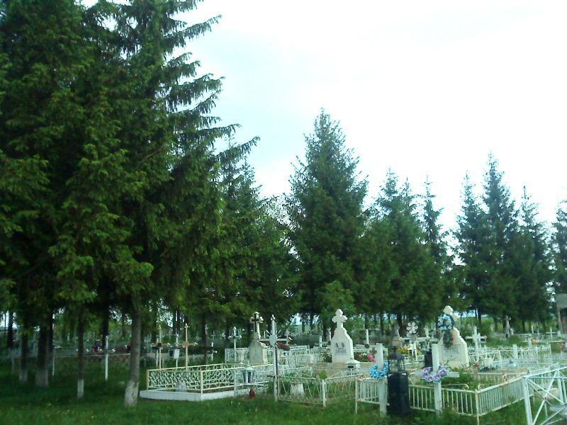 Cimitirul parohiei