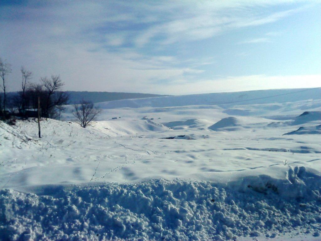 Frumuseţea iernii – în drum spre Poieniţa