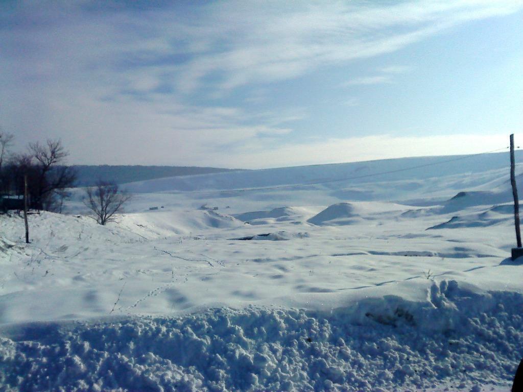 Frumuseţea iernii – în drum spre Poieniţa