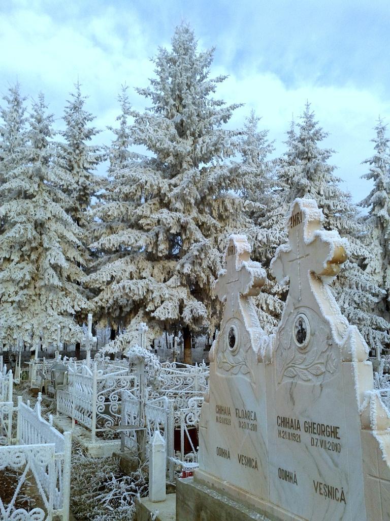 Cimitirul Poienita | 21 decembrie 2013