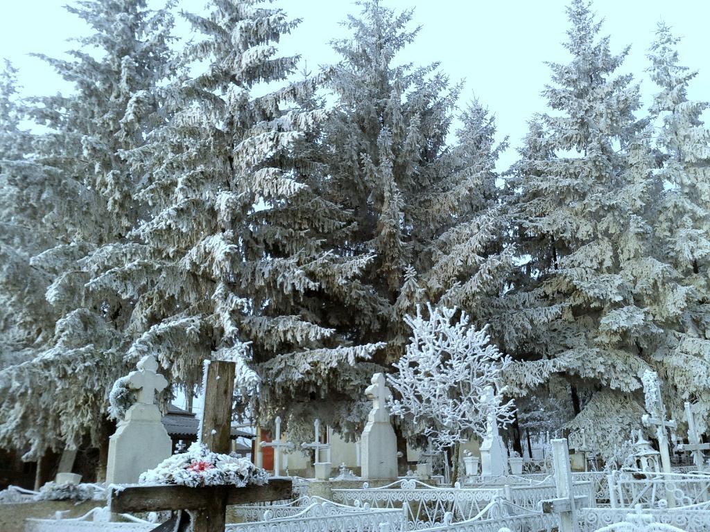 Cimitirul Poieniţa | 21 decembrie 2013