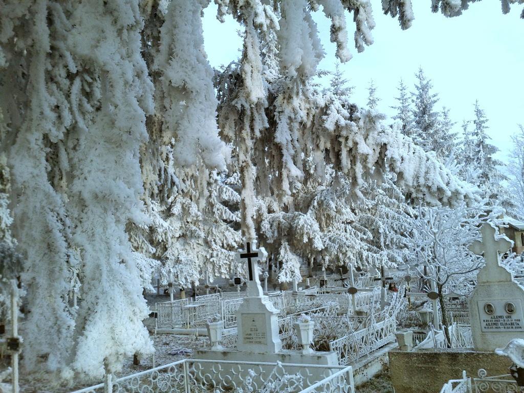 Cimitirul Poieniţa | 21 decembrie 2013