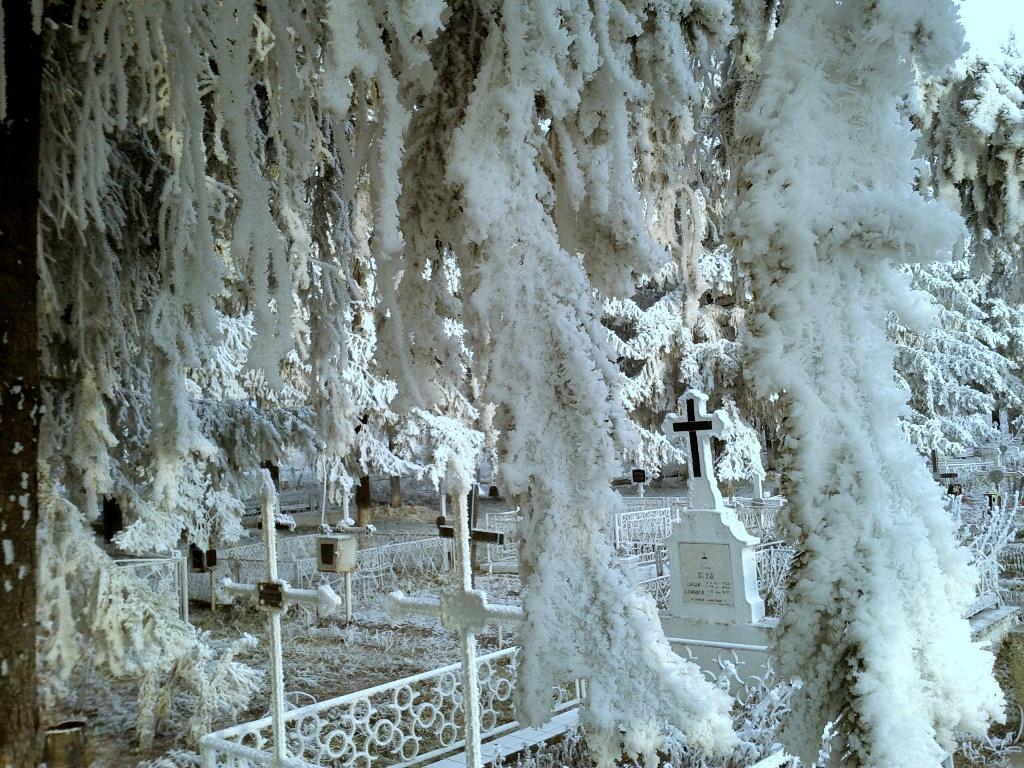 Cimitirul Poieniţa | 21 decembrie 2013