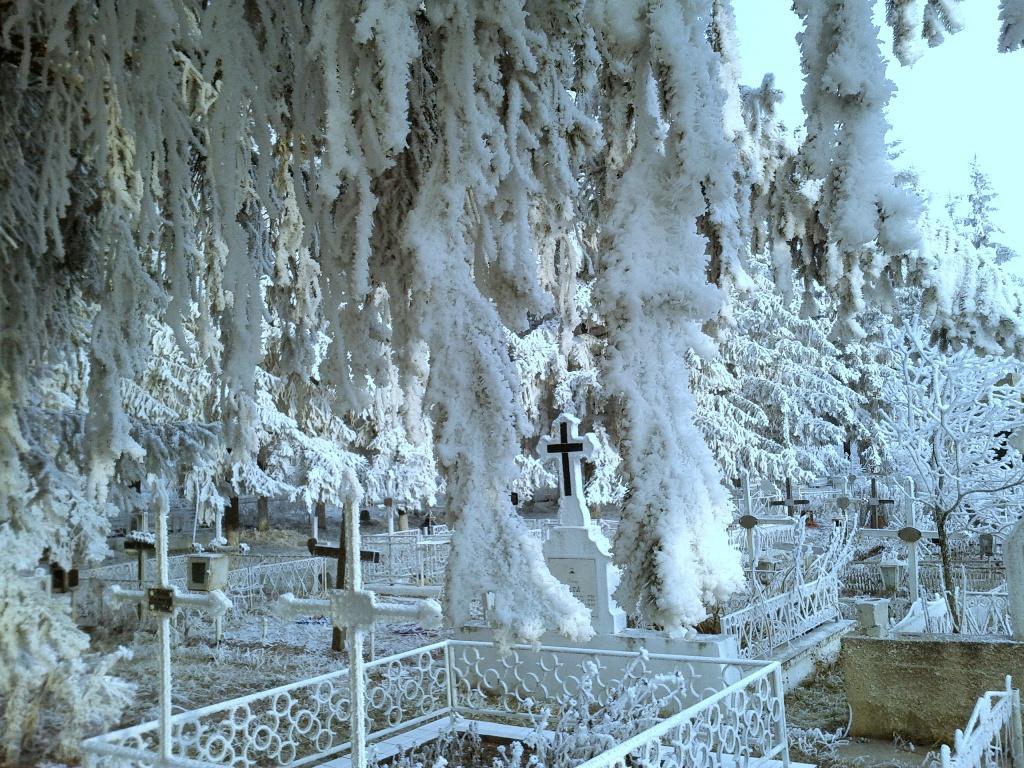 Cimitirul Poieniţa | 21 decembrie 2013