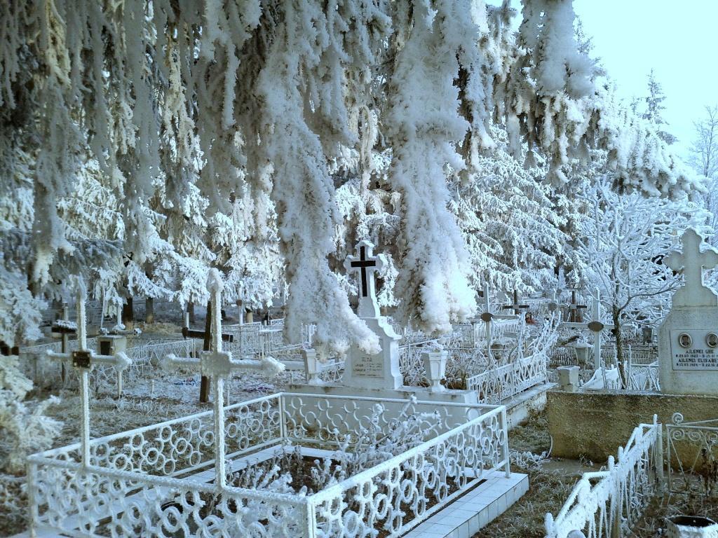 Cimitirul Poieniţa | 21 decembrie 2013