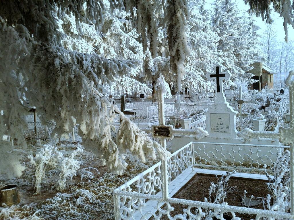Cimitirul Poieniţa | 21 decembrie 2013