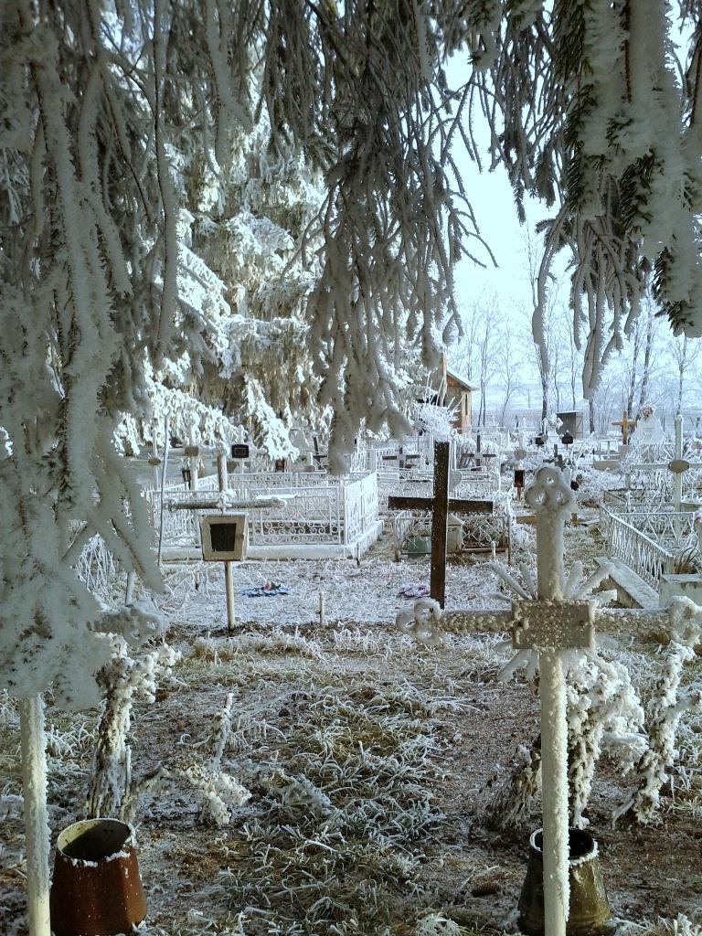 Cimitirul Poieniţa | 21 decembrie 2013